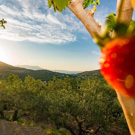 Rikanthos Stone Sea View Apartment Ιι Kíssamos Eksteriør bilde